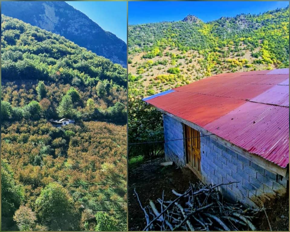 اجاره کلبه جنگلی در تازه آباد رودسر - گیلان