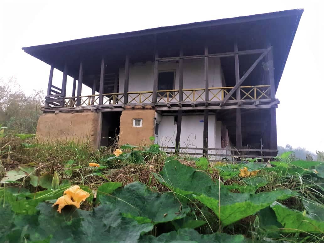 اجاره کلبه جنگلی در فرارود رودبار - گیلان