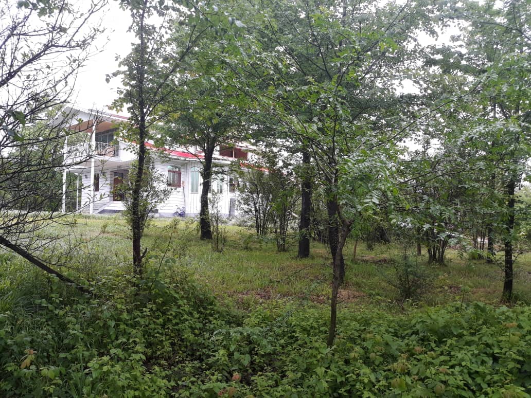 اجاره ویلا جنگلی در تاسکوه ماسال