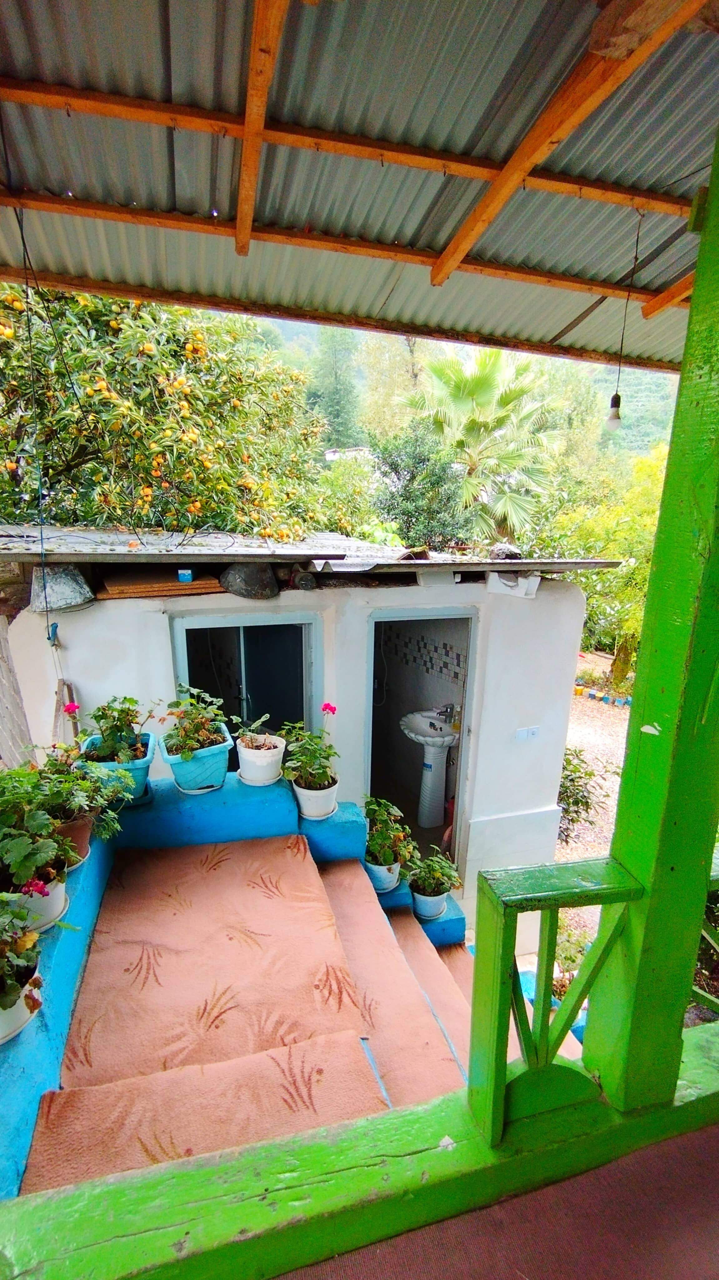 اجاره اقامتگاه سنتی  دوبلکس جنگلی در چوبر - گیلان