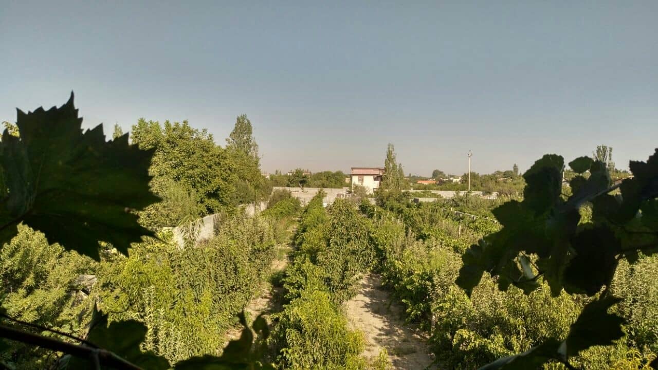 اجاره ویلا استخر دار در صالح آباد اورمیه