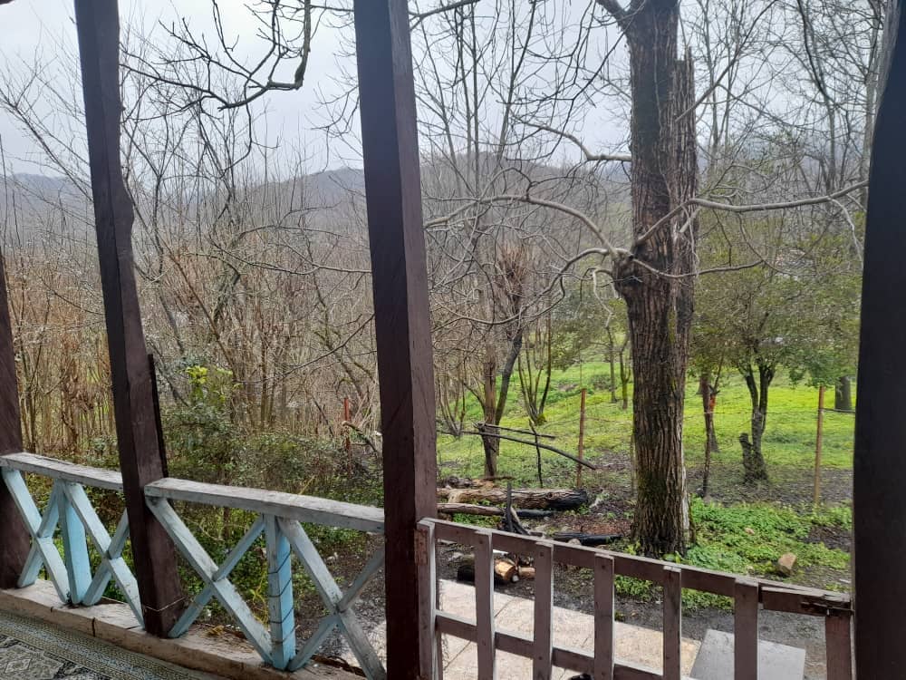 اجاره کلبه جنگلی در حلیمه جان رودبار
