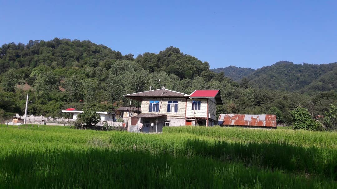 اجاره ویلا جنگلی در سراگاه تالش - کادوس