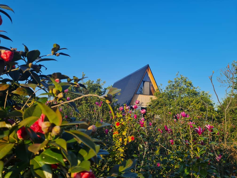 اجاره کلبه سوئیسی در نمک آبرود