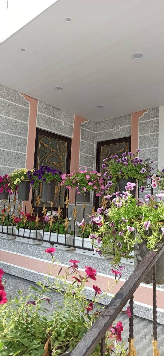 اجاره سوئیت در طالقانی سی سخت