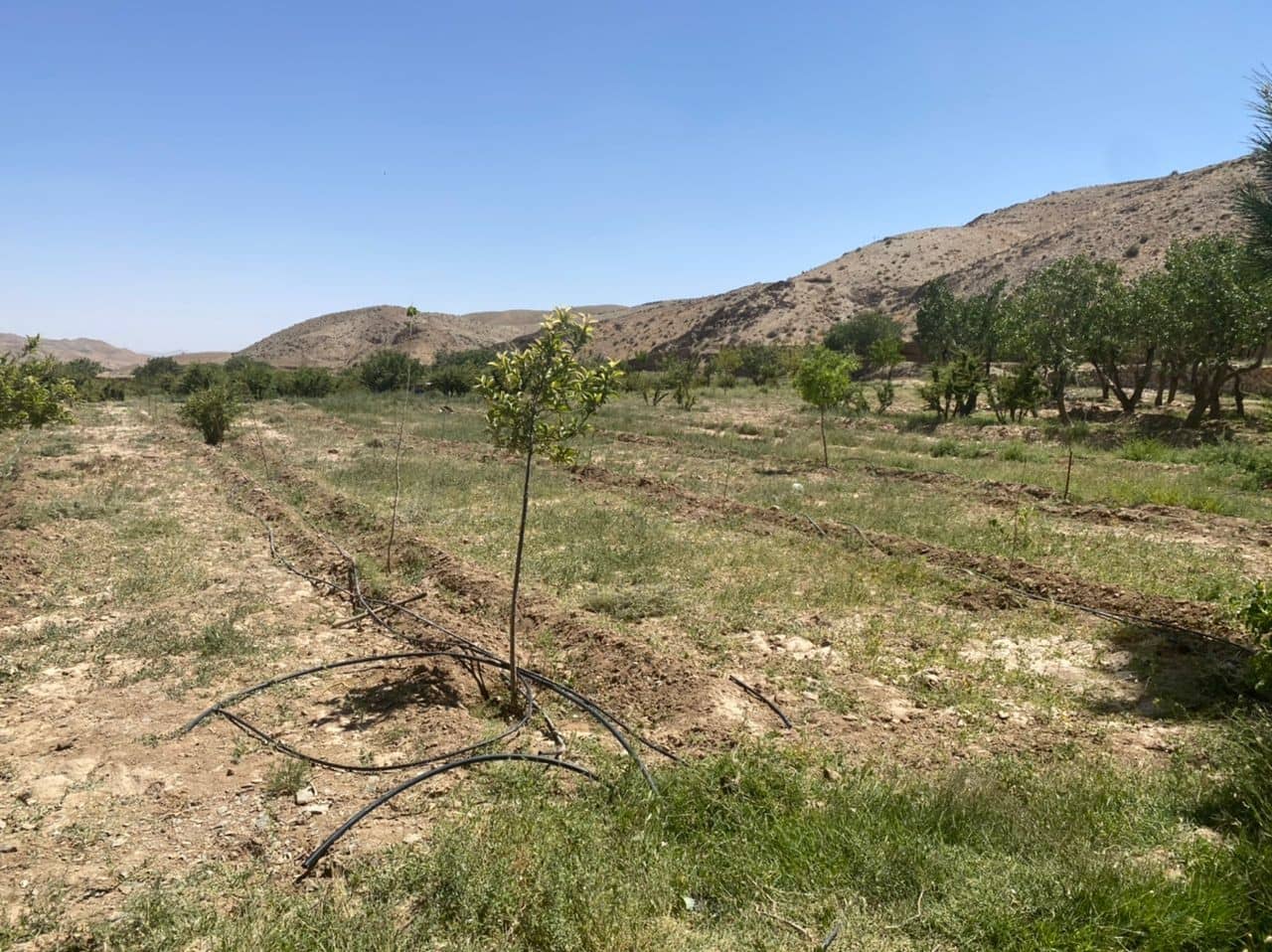 اجاره اتاق سنتی در روستا خوشینه سفلی - بیرجند