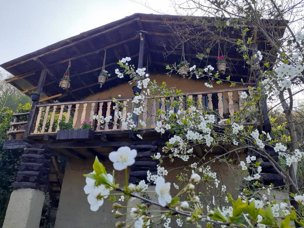 اجاره کلبه جنگلی سنتی در دشت جلم رامسر