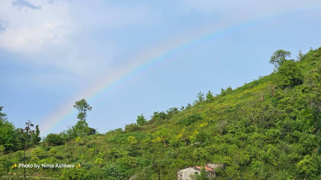 اجاره کلبه جنگلی سنتی در دشت جلم رامسر