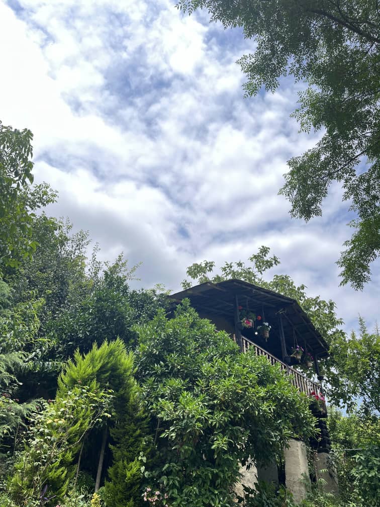 اجاره کلبه جنگلی سنتی در دشت جلم رامسر