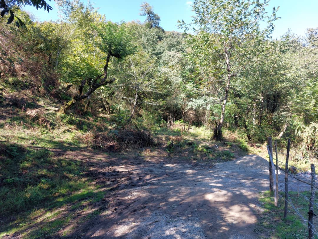 اجاره ویلا جنگلی در شاندرمن ماسال