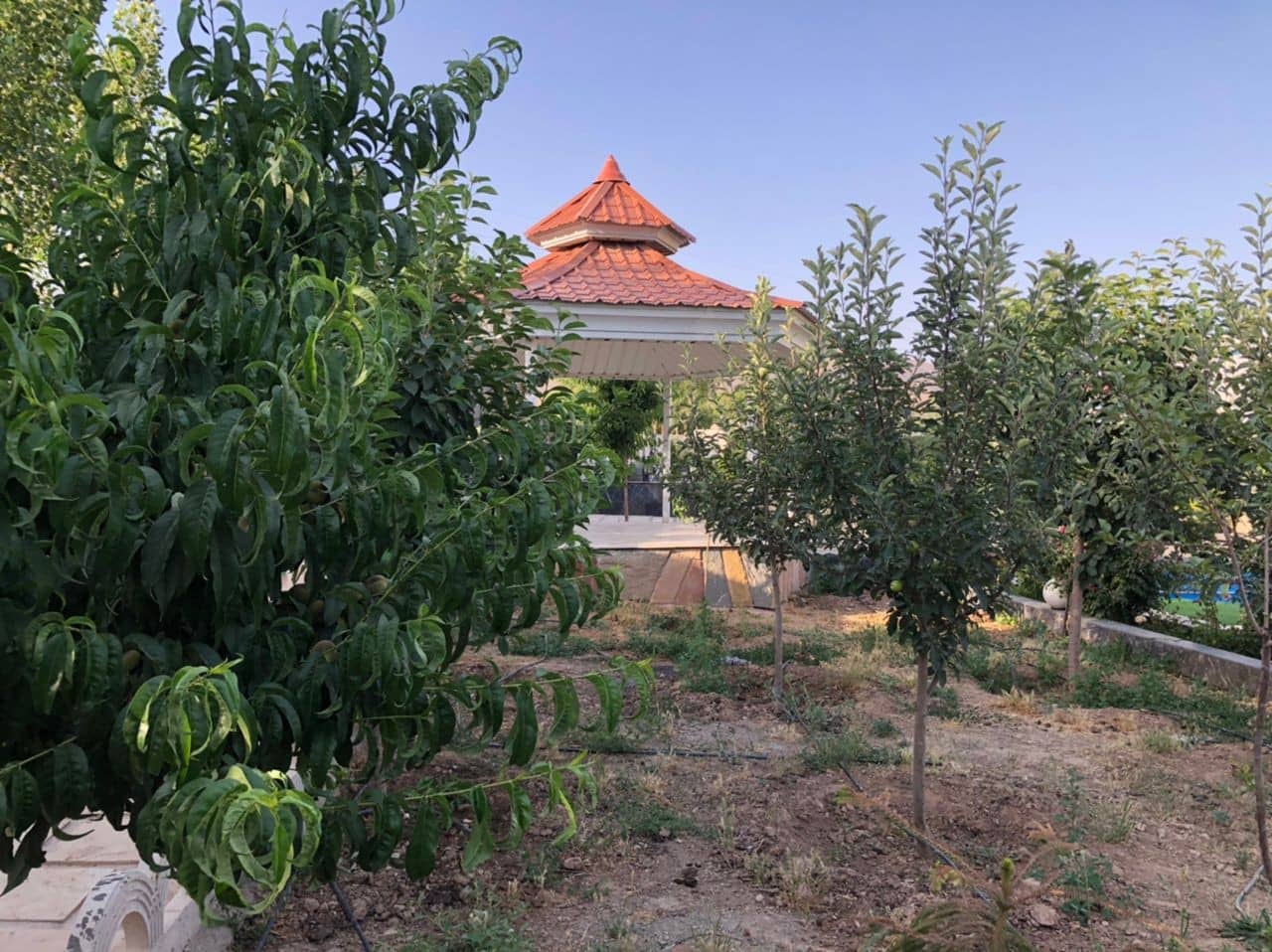 اجاره ویلا استخر روباز در ده سربندان دماوند