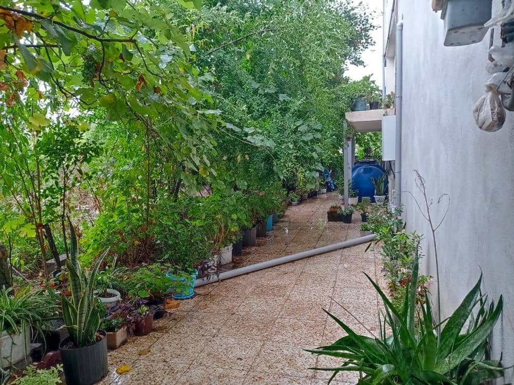 اجاره ویلا باغ در روستای طولارود تالش