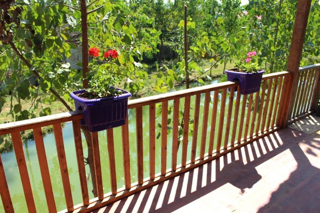 اجاره سوئیت در آقاسید شریف رشت - سوئیت تکخواب