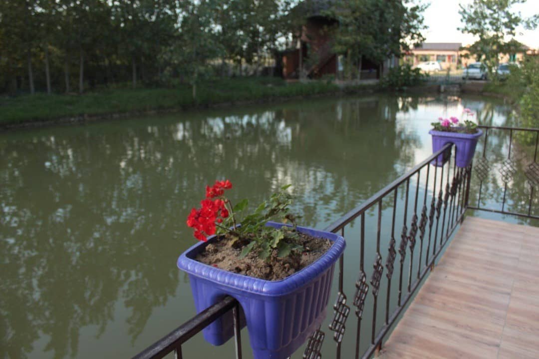 اجاره کلبه در روستای آقاسید شریف رشت - کلبه سوئیسی