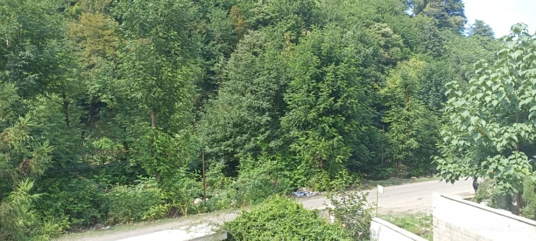 اجاره ویلا جنگلی در روستای فوشه فومن