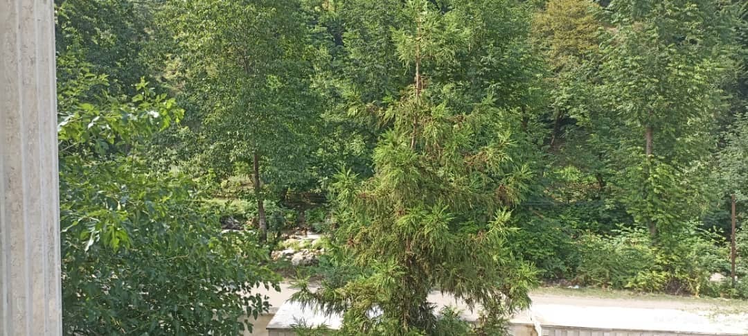اجاره ویلا جنگلی در روستای فوشه فومن