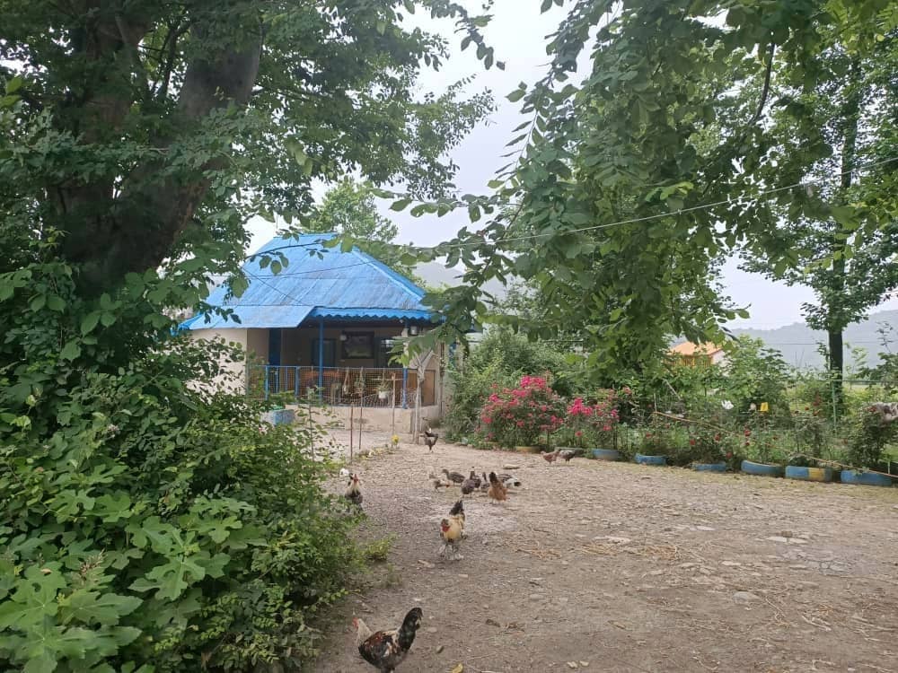 اقامتگاه سنتی در روستای سید آباد فومن