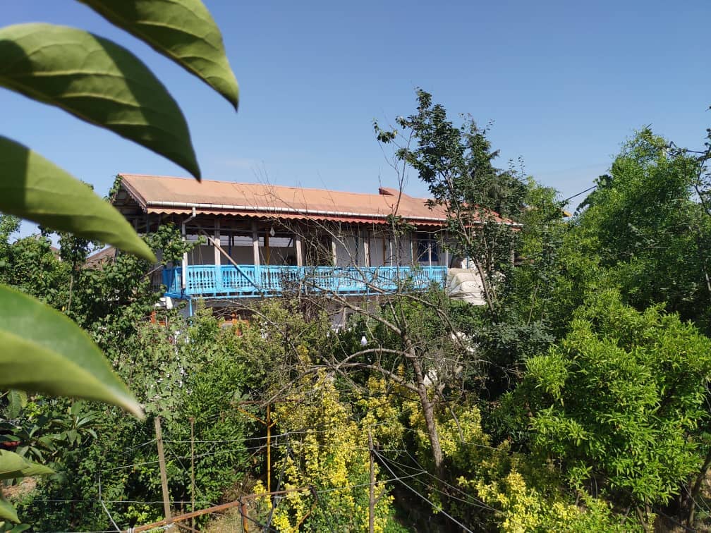 اجاره ویلا باغ در روستا فتیده لنگرود