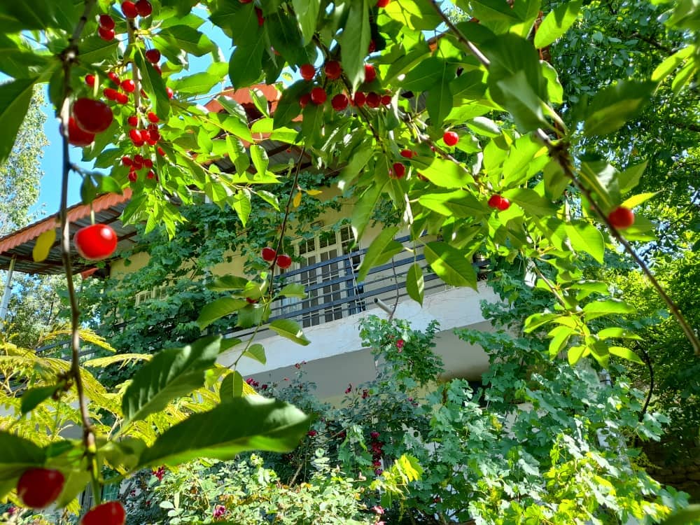 اجاره ویلا باغ در کلات نادری