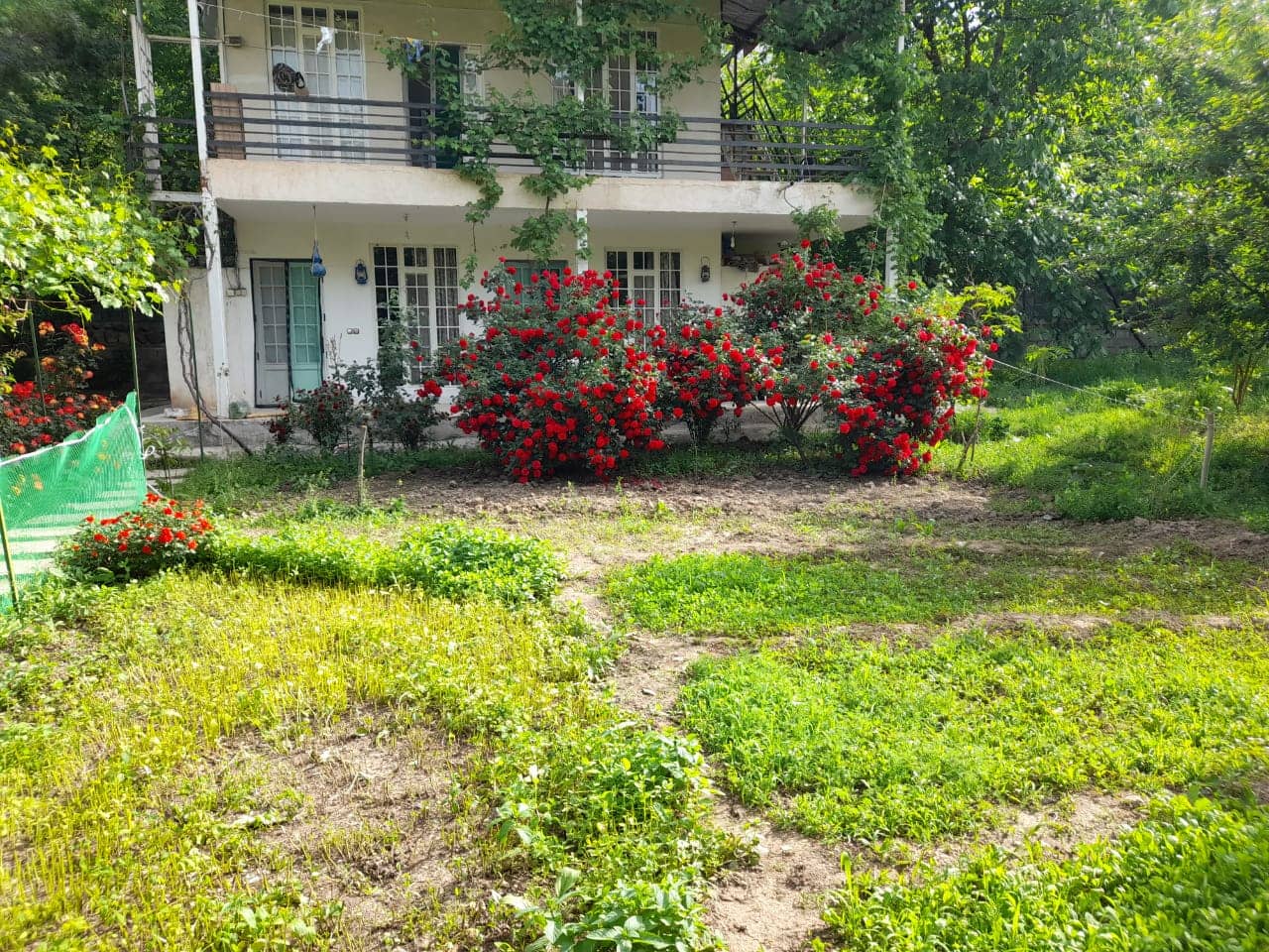 اجاره ویلا باغ در کلات نادری