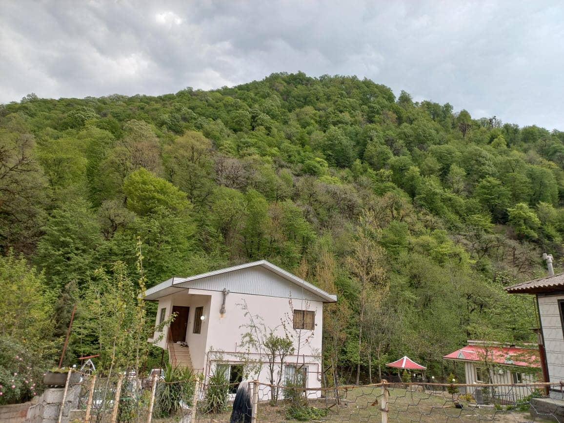 اجاره ویلا جنگلی در روستای گیجاو اسالم