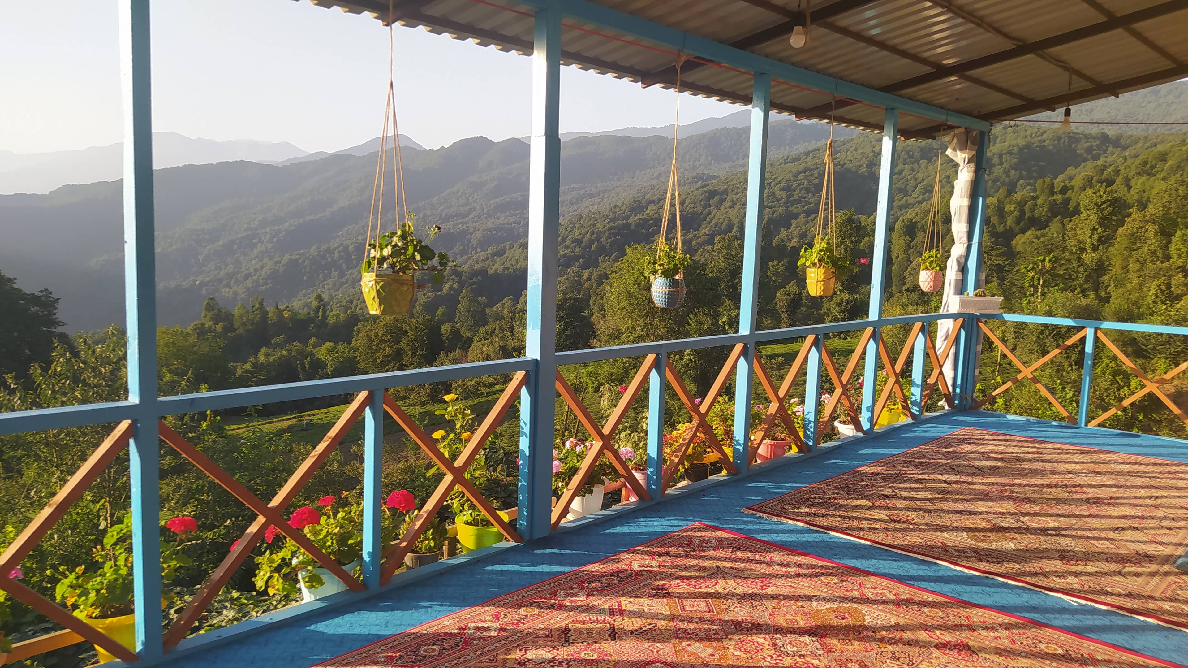 اجاره بومگردی جنگلی در روستای بالابند - تنکابن