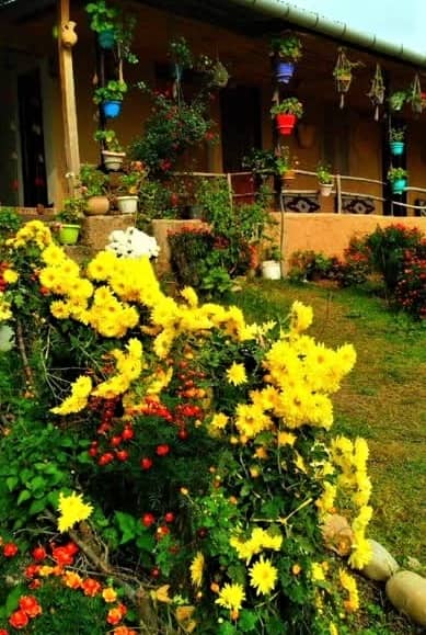 اجاره خانه سنتی در سرکت ساری - چلچلا