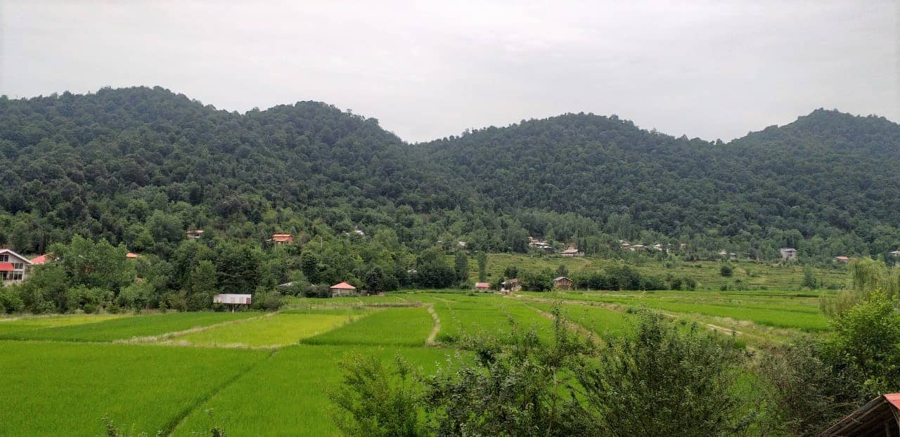 اجاره ویلا جنگلی در روستا ورمیه ماسال