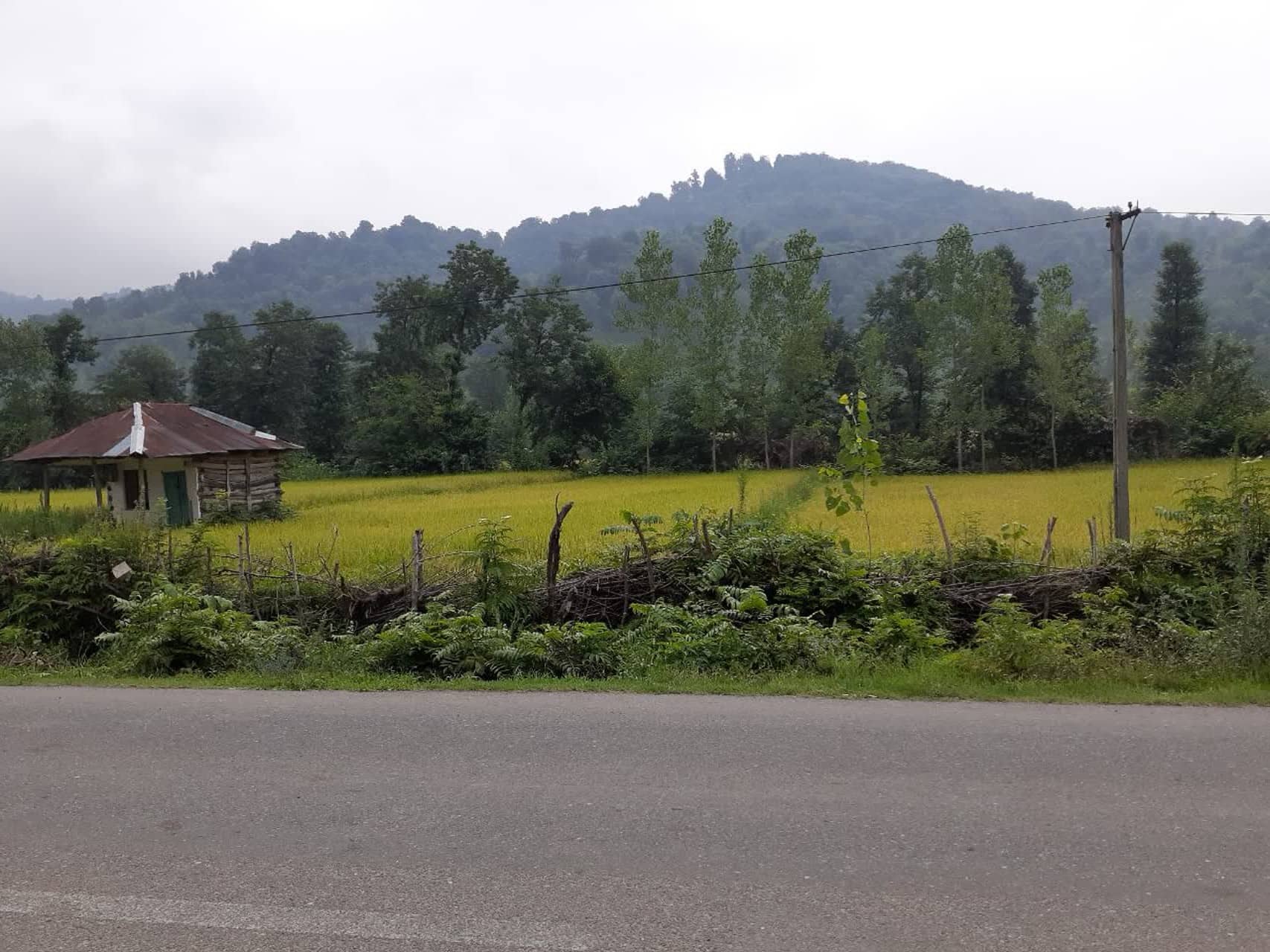 اجاره سوئیت در قلعه رودخان فومن