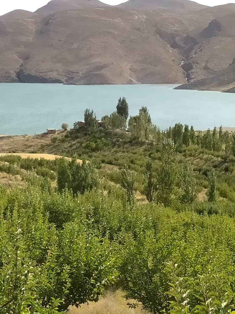 اجاره باغ ویلا در قوچان