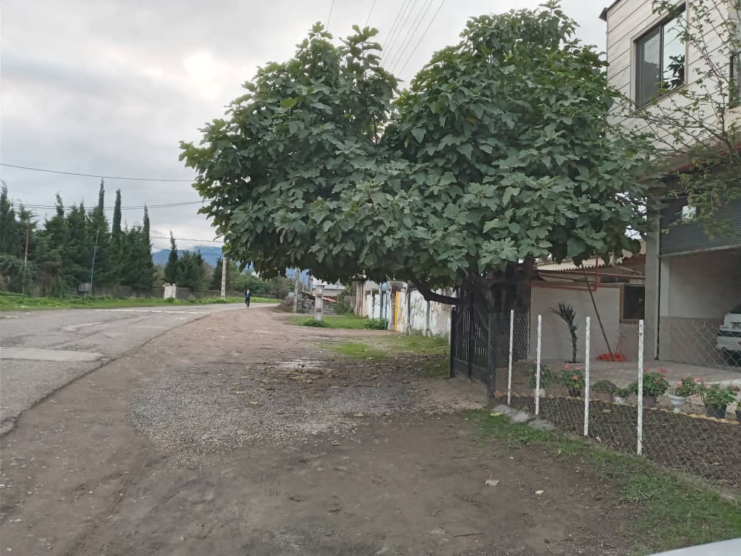 ویلا نزدیک ساحل در اسالم - تک خواب