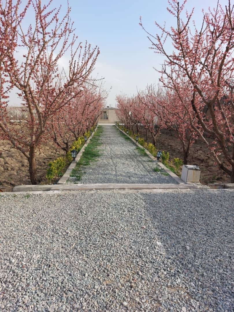 اجاره ویلا باغ در روستای اسفند آباد ملارد - 45 متری