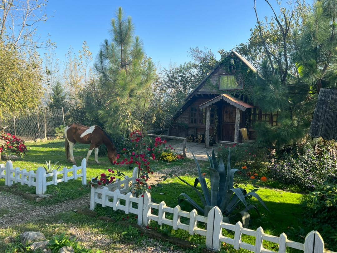 رزرو کلبه چوبی درختی در روستای امره ساری - الارا