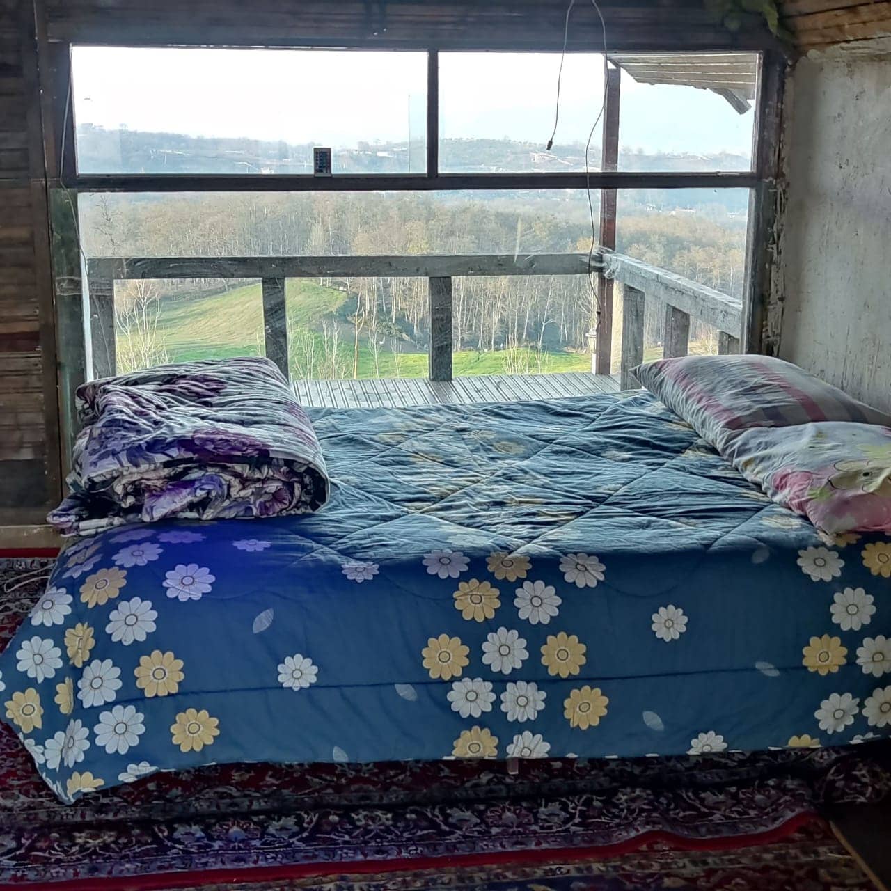 رزرو کلبه چوبی درختی در روستای امره ساری - الارا