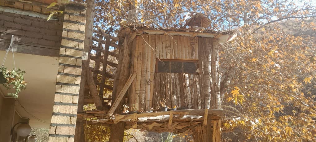 اجاره کلبه درختی در کندر کرج