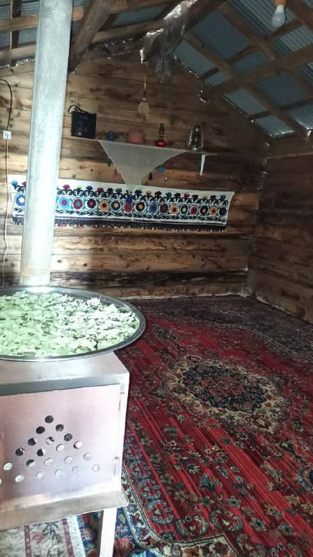 اجاره کلبه چوبی در ییلاقات شاندرمن ماسال - بلوط