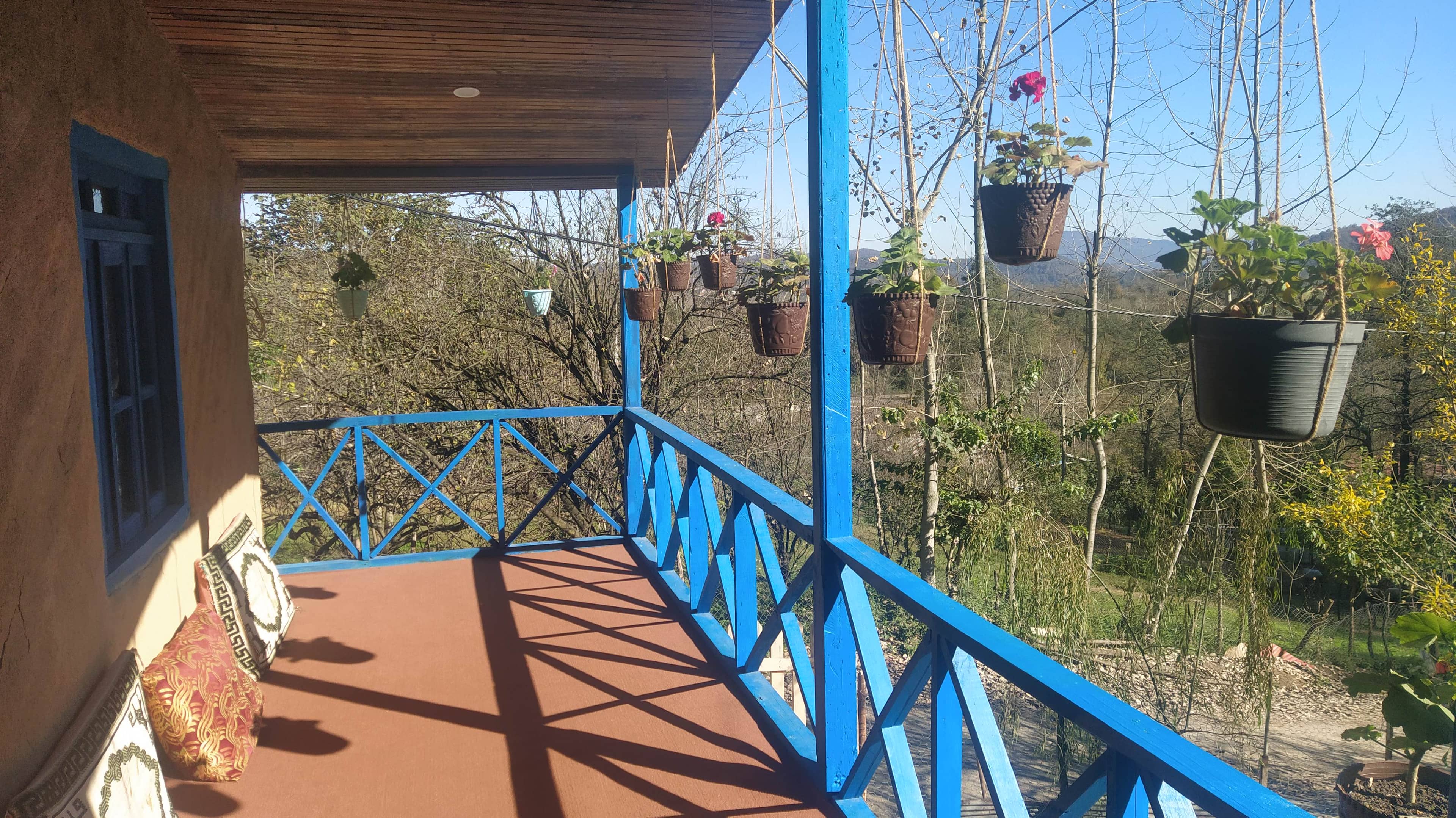 اجاره کلبه جنگلی در روستای آری - بابل