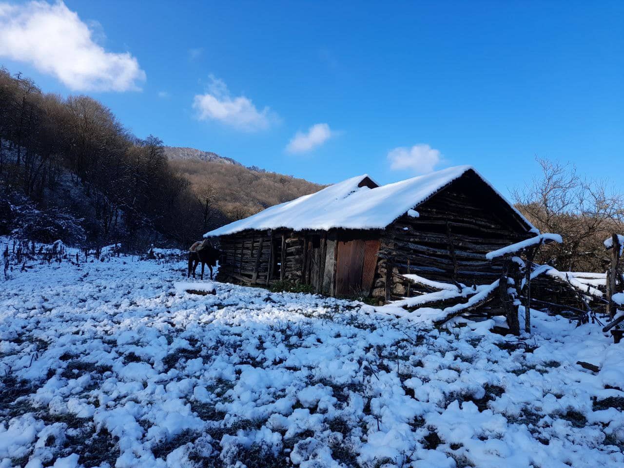 اجاره کلبه چوبی در روستای تیار - آمل