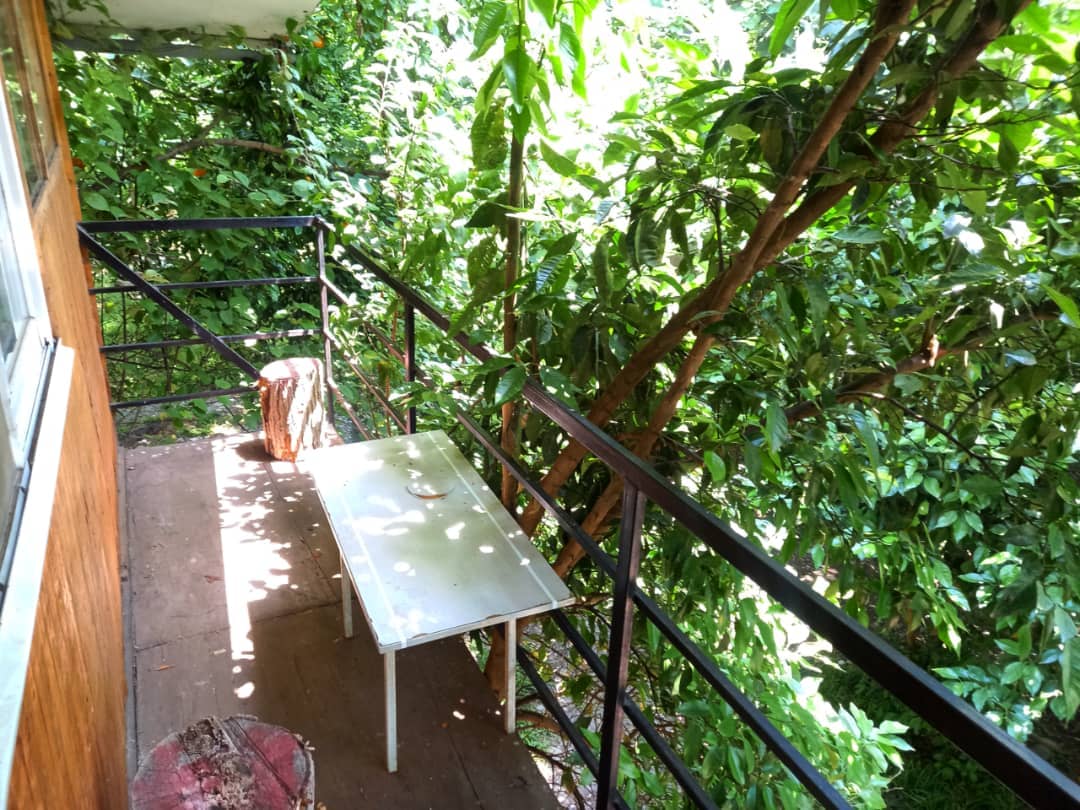 اجاره کلبه در روستای شهرستان رشت - نارنج