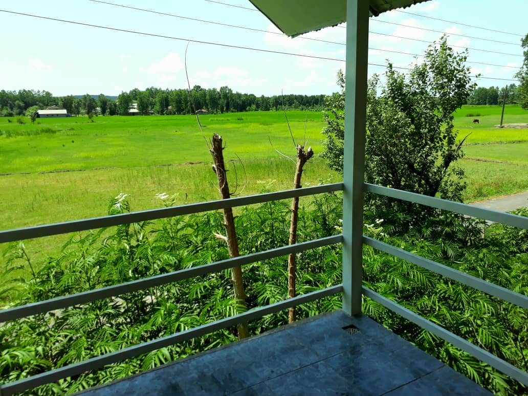 اجاره ویلا در روستای شهرستان رشت - شالیزار