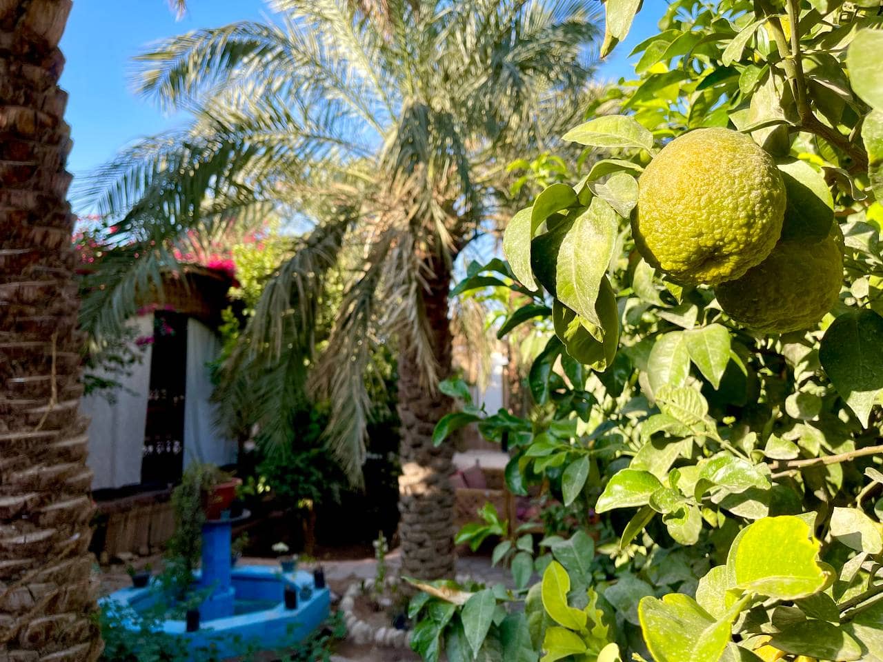 اجاره بومگردی سه تخته در شهداد - 16متر