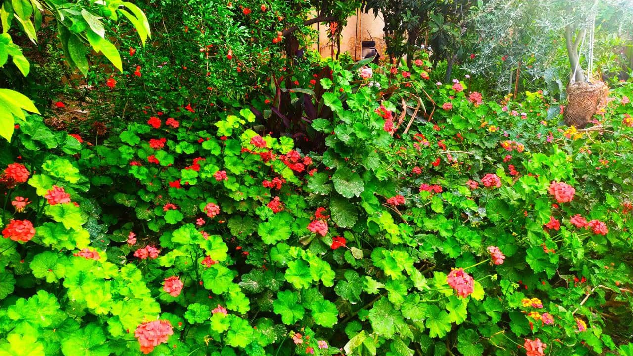 اجاره بومگردی سنتی در روستای غربی - خفر