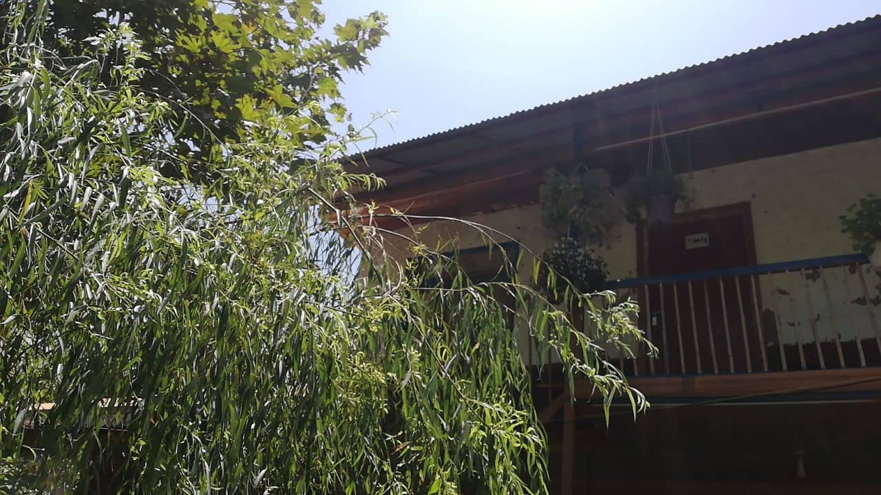 اجاره کلبه چوبی در روستای طاسکوه ماسال - کلبه 2