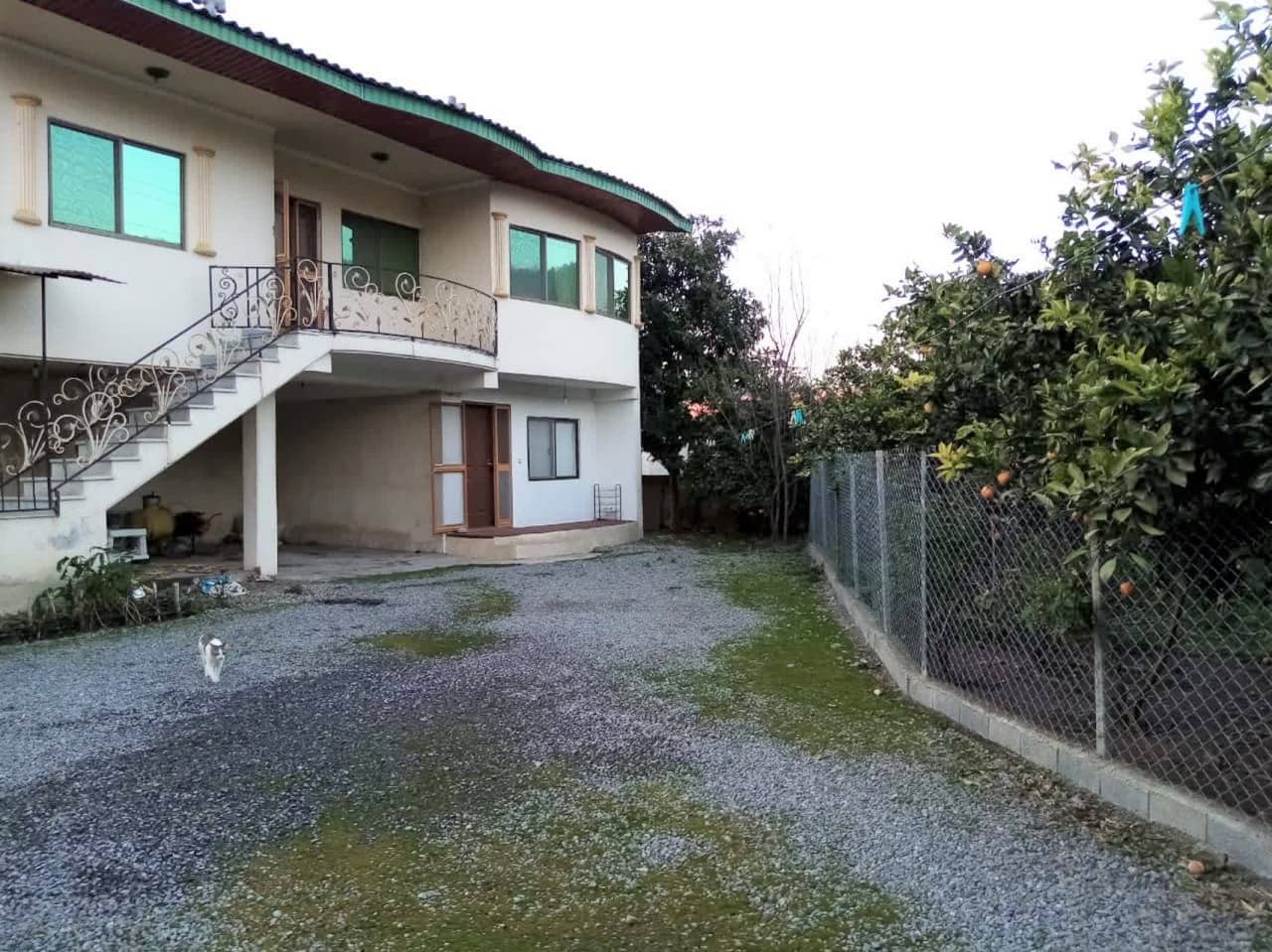 اجاره ویلا جنگلی در رزکه آمل