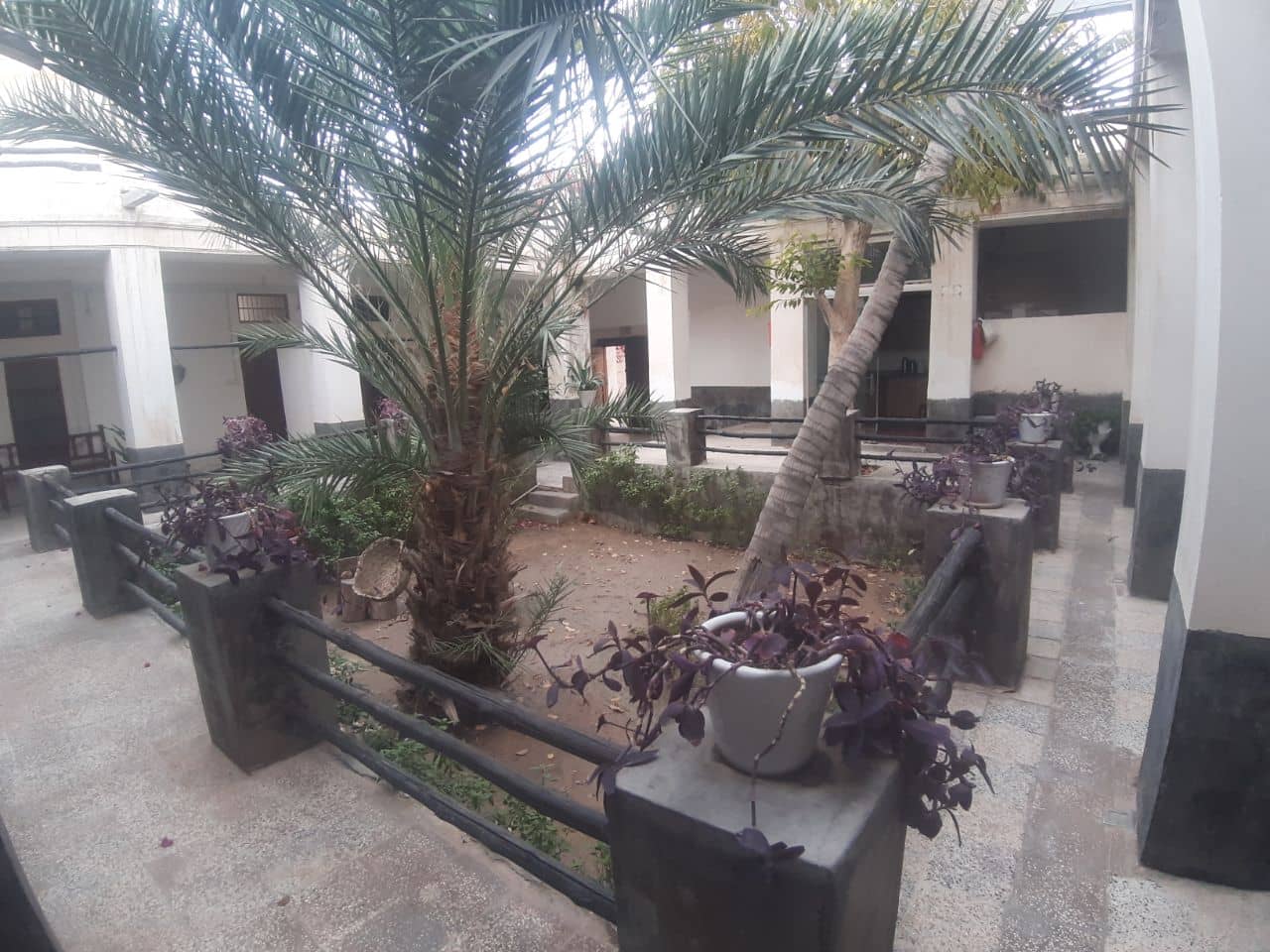 اجاره بومگردی در کوی مهره بندرکنگ - یک تخته