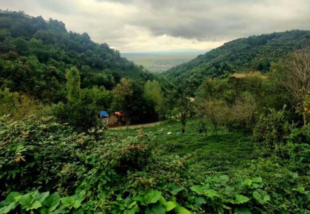 اجاره اتاق سنتی در گالشکلام لنگرود - گلقندی