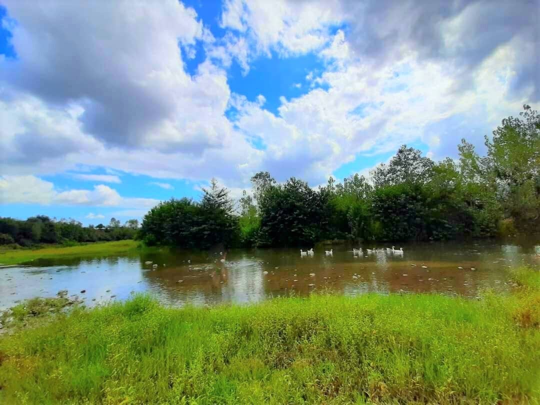 اجاره ویلا جنگلی در بهشت لات اطاقور