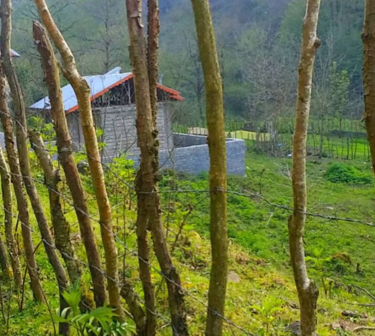 اجاره ویلا جنگلی در بهشت لات اطاقور