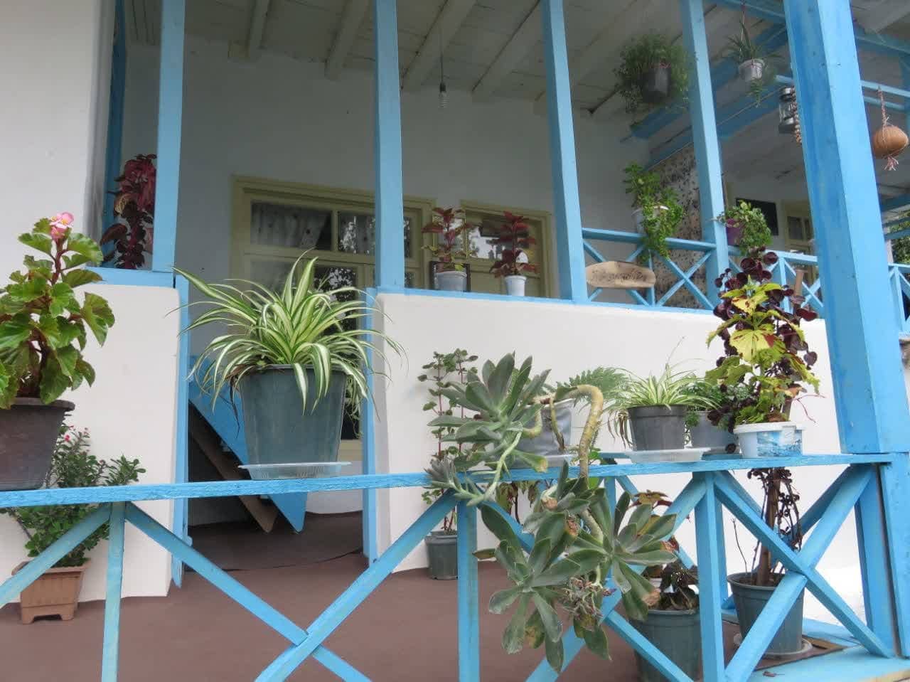 بومگردی سنتی نزدیک ساحل در شیرآباد تالش - زمرد