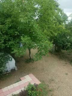 اجاره ویلا جنگلی در اولم ماسال